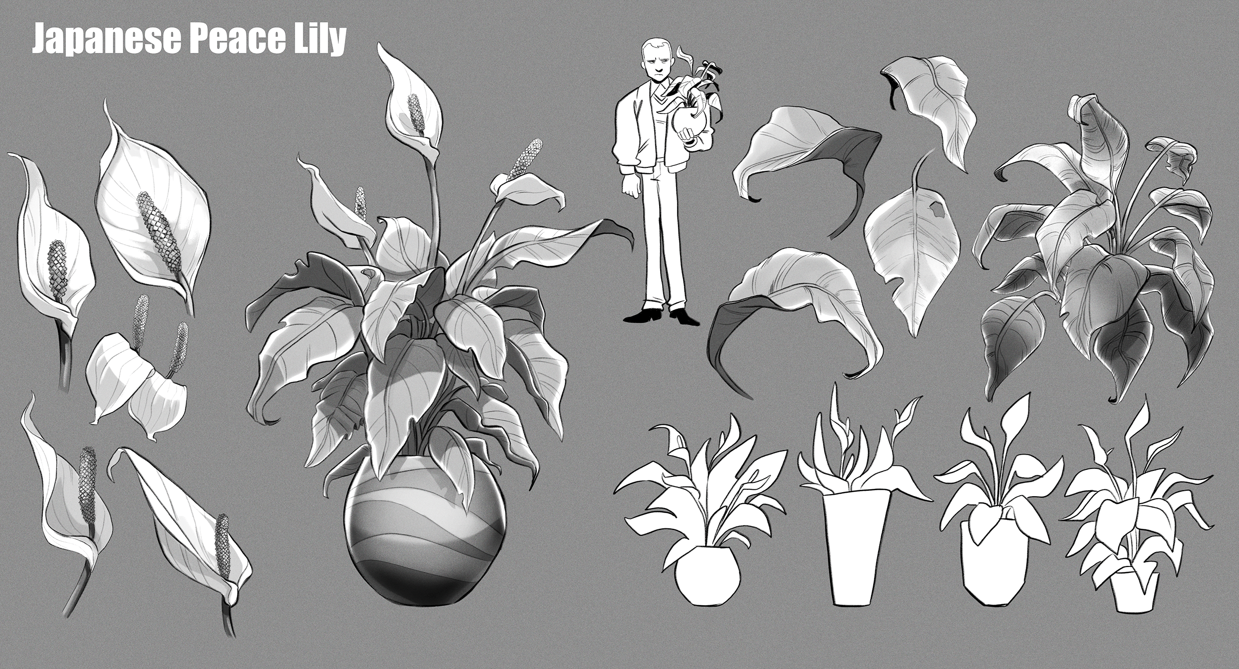 Peace lily.png