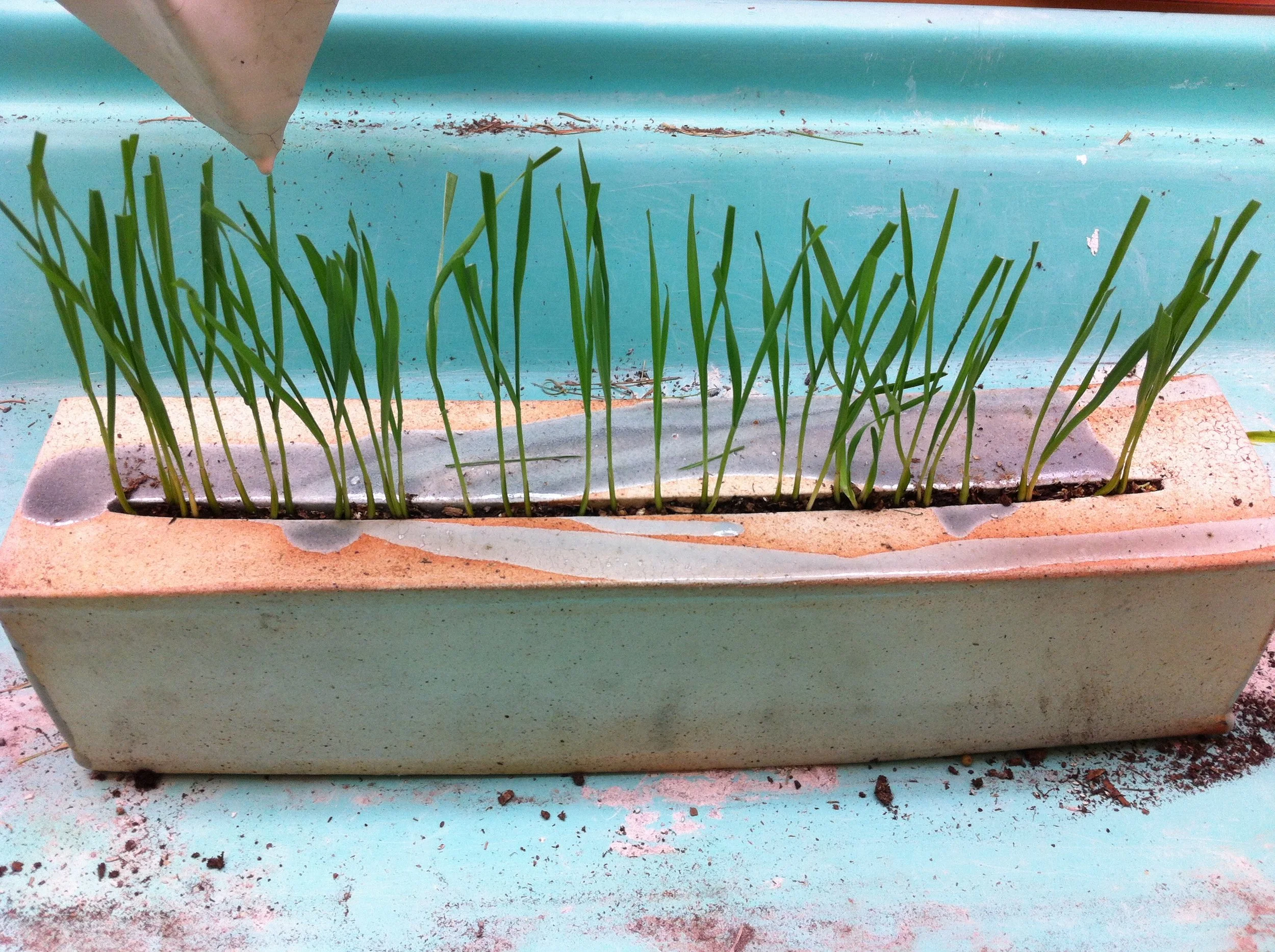 2013-04-16 14.11.52.jpg