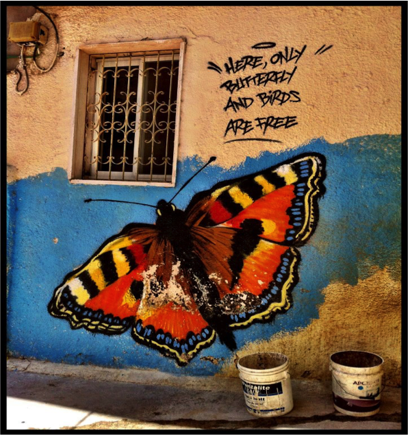 butterflies.png