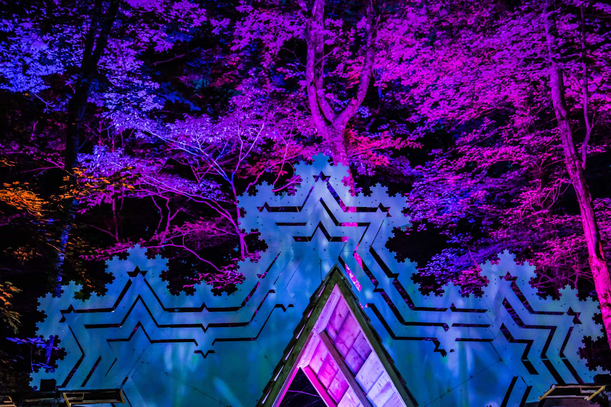 IMG_7975-Fractalfest2015-WEB.jpg