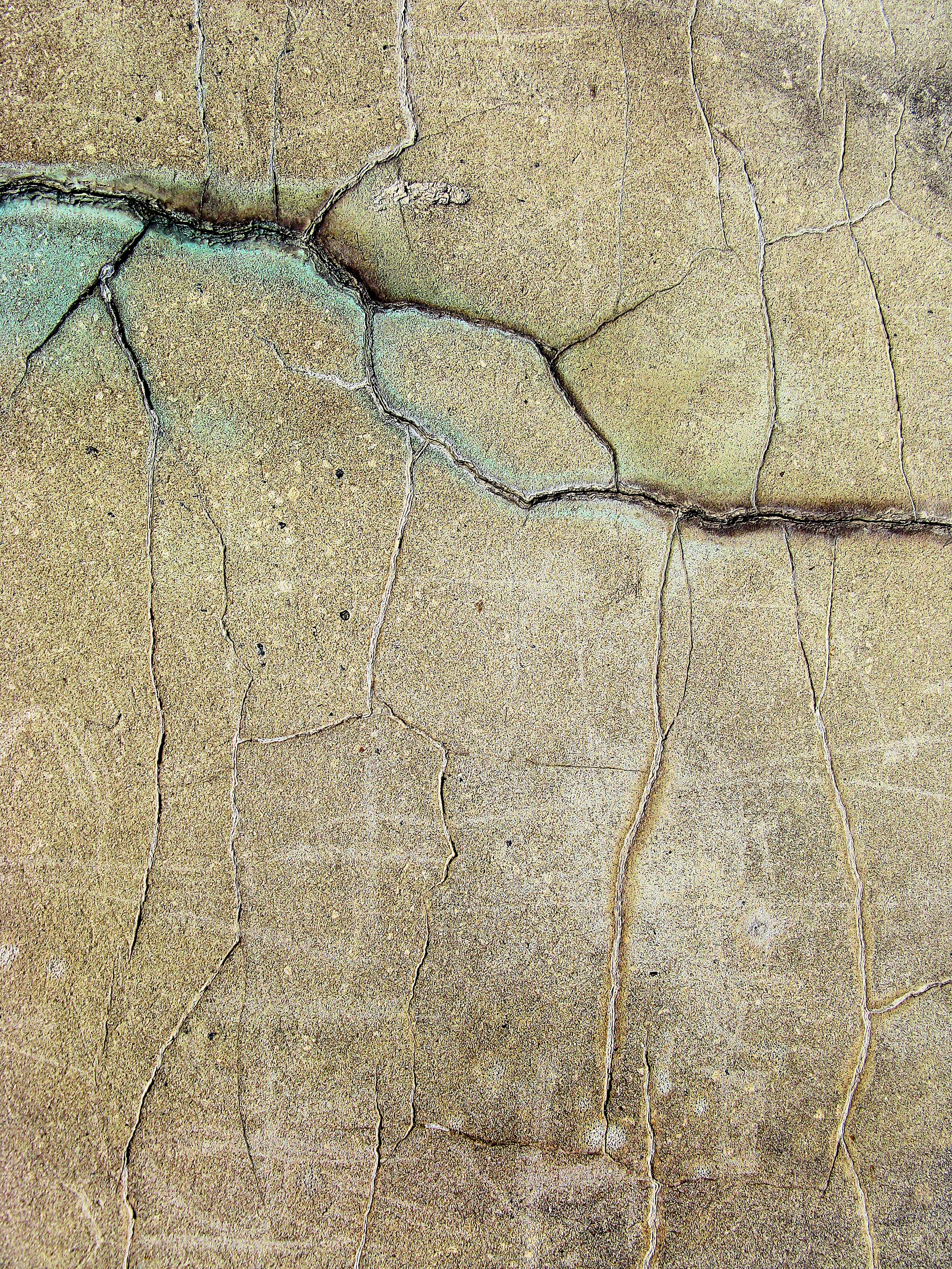 Lo que aprendí gracias al terremoto