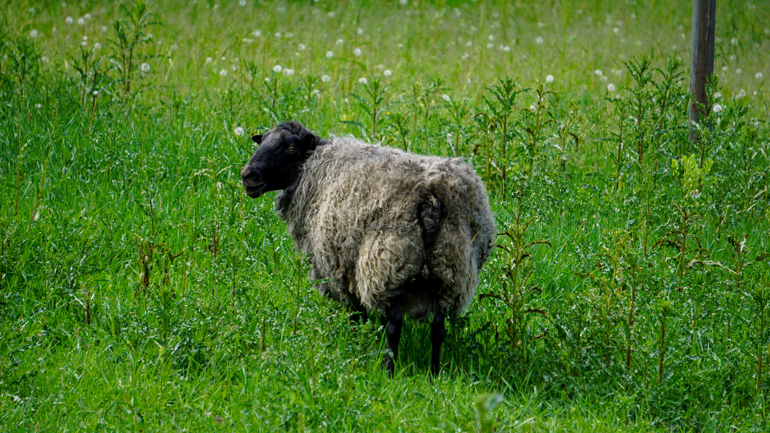 Dios nos encuentra cuando se lo pedimos