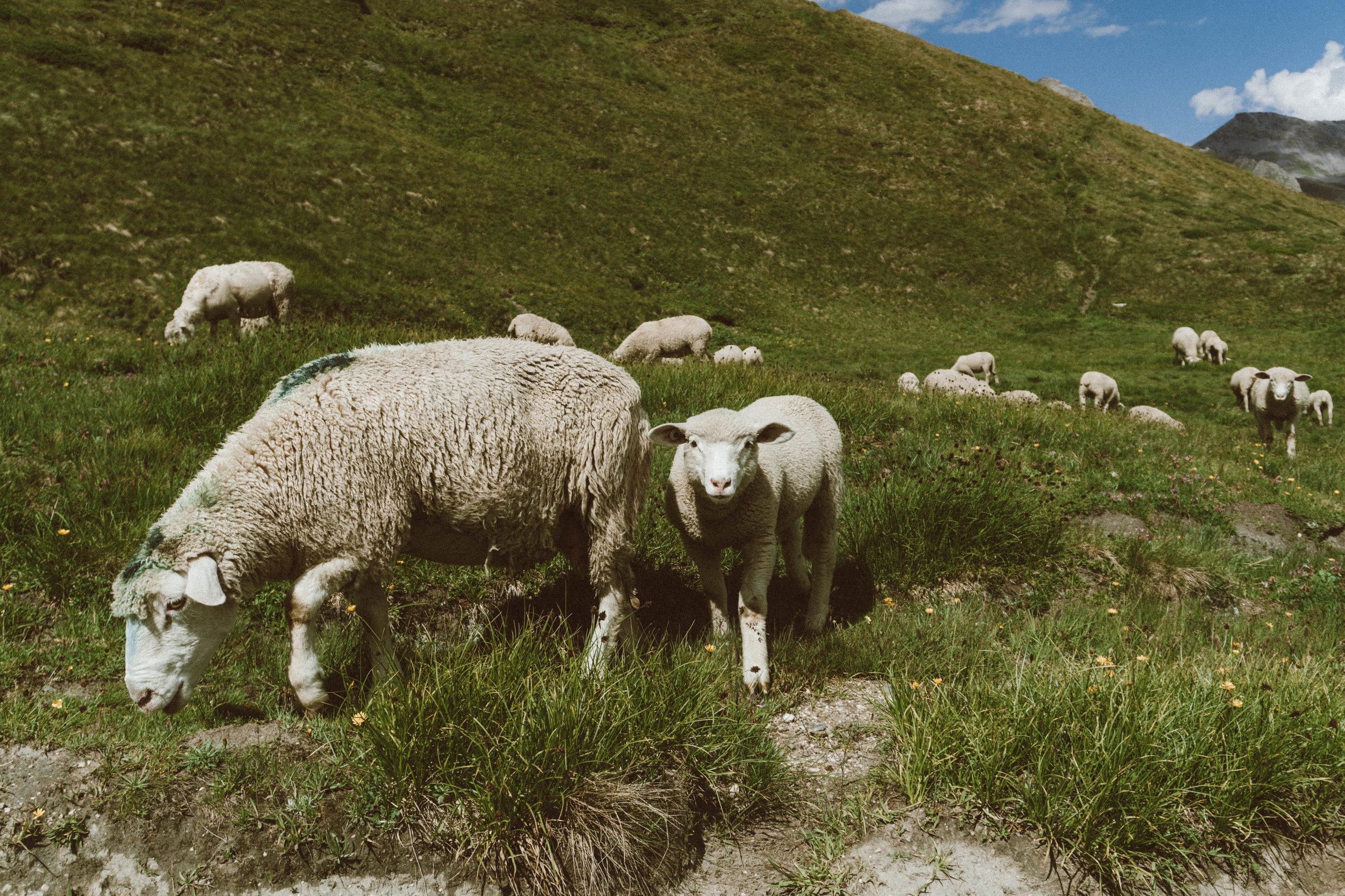 Deja que Dios cubra tus ansiedades