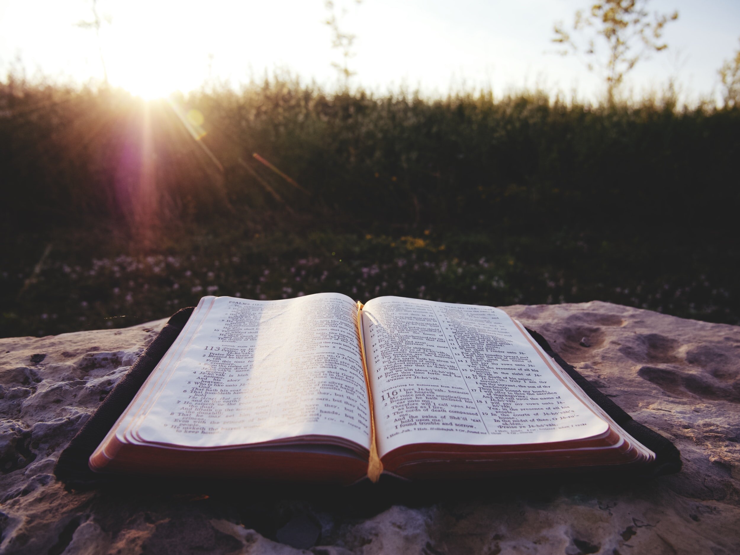 La Escritura inspirada por Dios