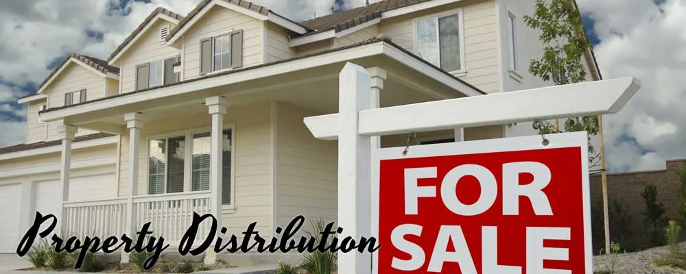 propertydistribution2.jpeg