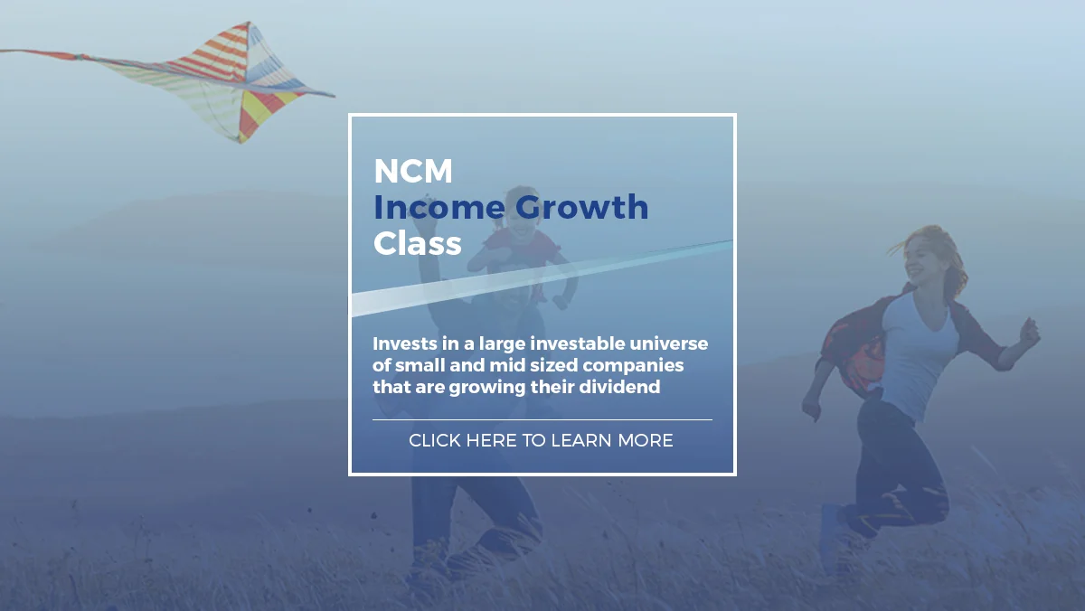 Web Banner_NCM Income Growth 2019_R1.jpg