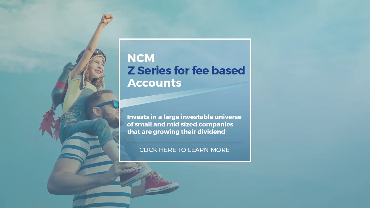 Web Banner_NCM Zseries 2019_R1.jpg