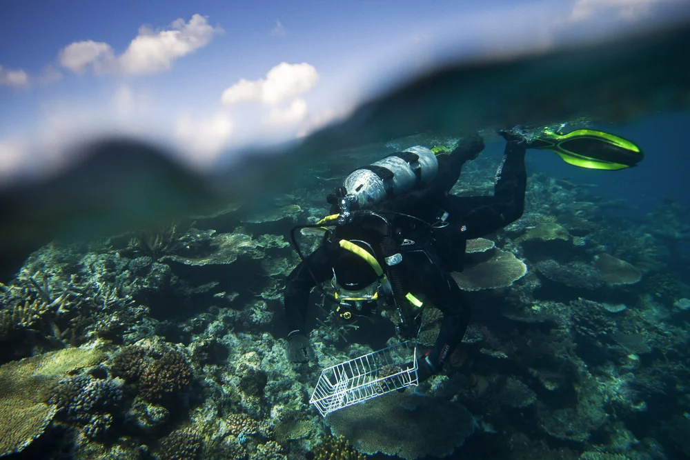 20170723_Great_Barrier_Reef_0078.jpg