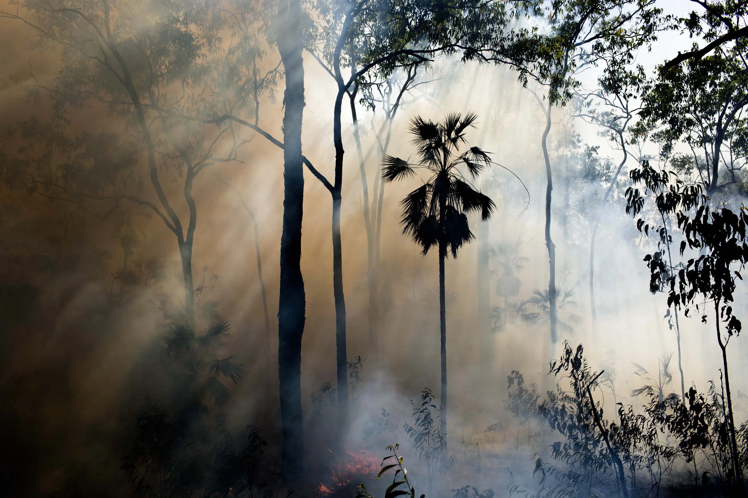 Sunlight filters through smoke from a controlled bushfire on Melville Island, Northern Territory.