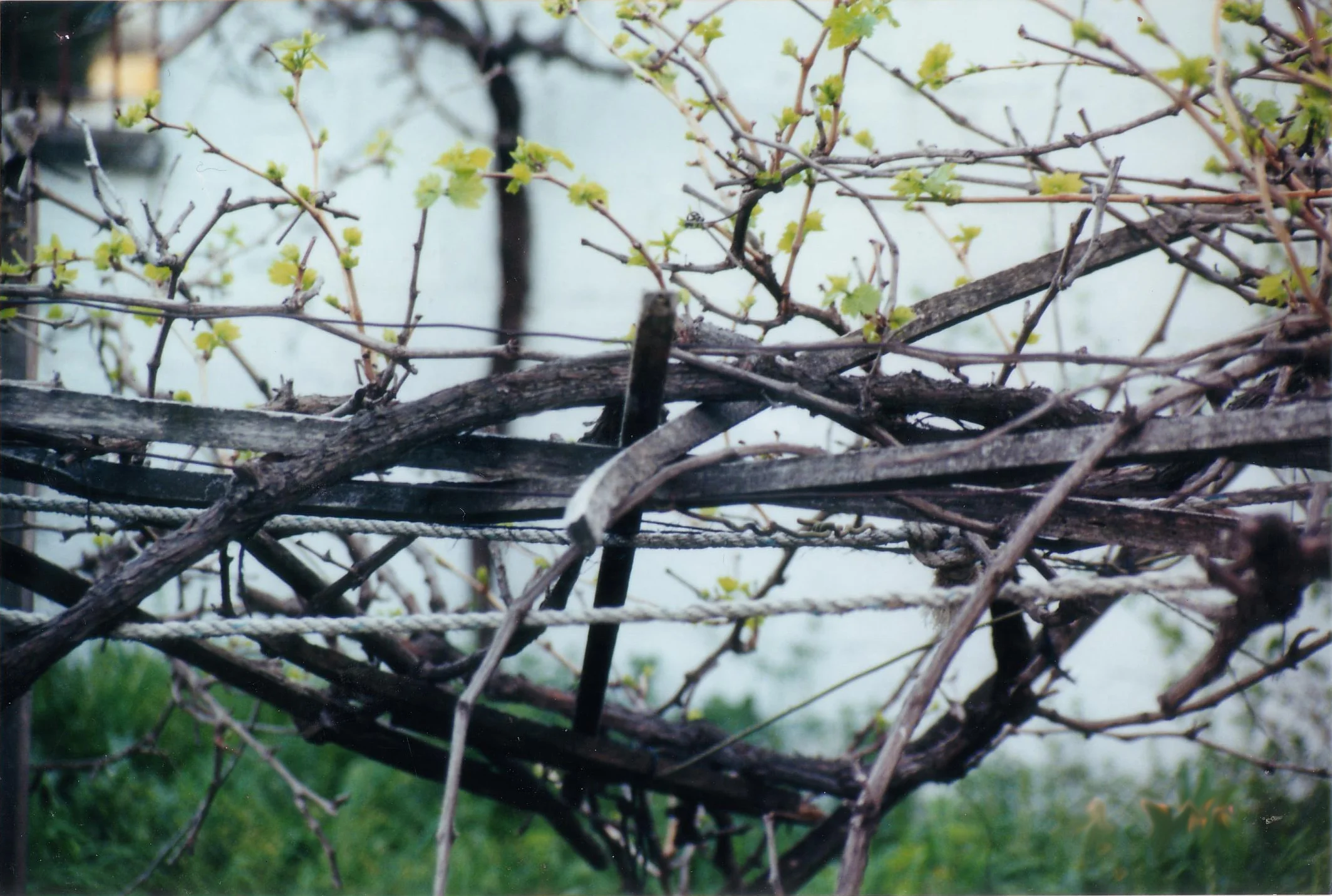 Detail01 copy.jpg
