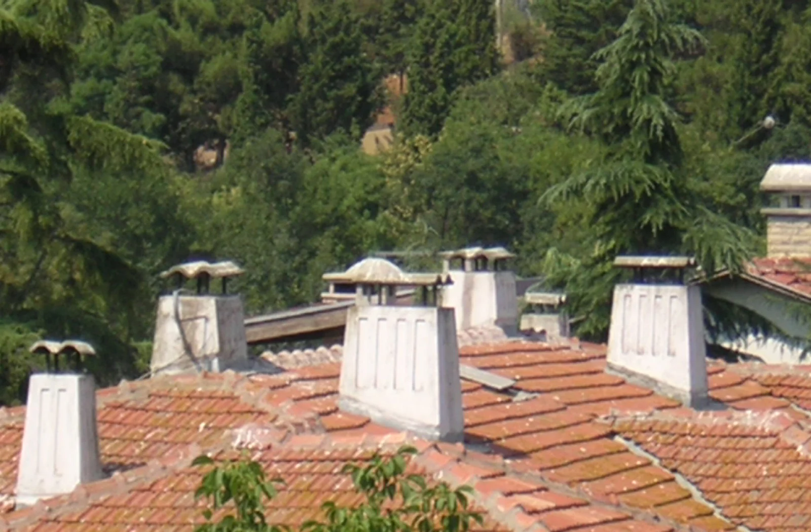 DSCN0984.JPG