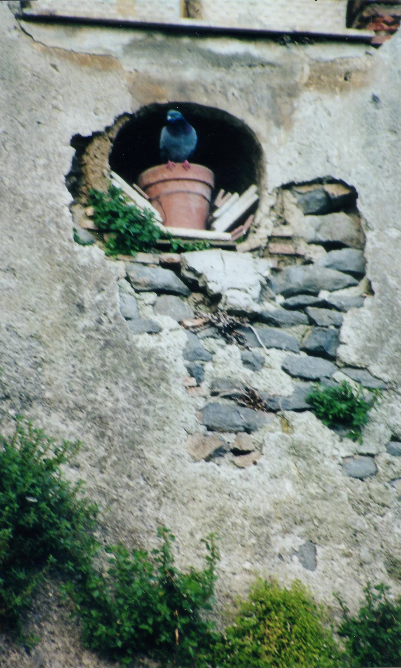 Italy 22 copy.jpg