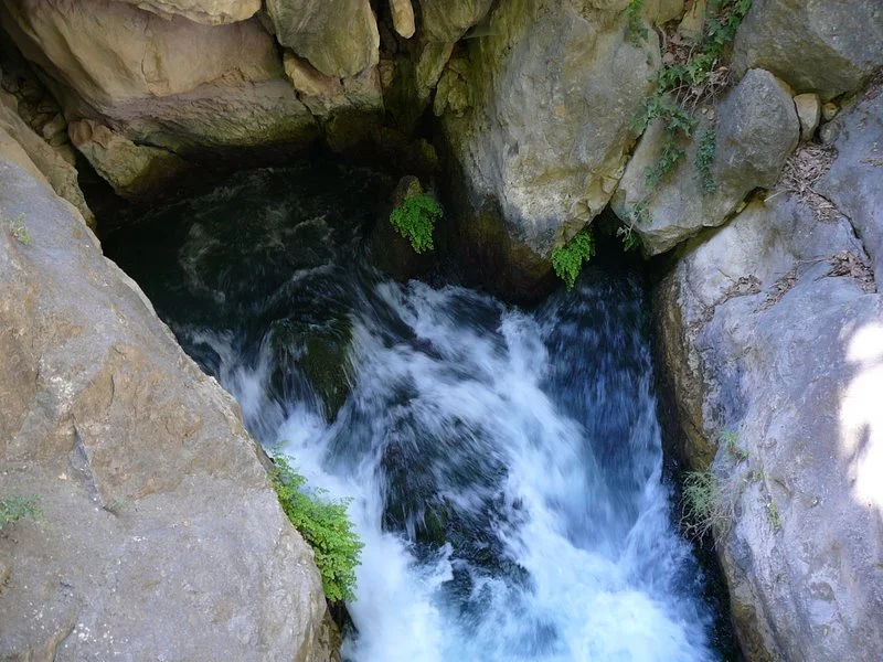 P1070839.JPG