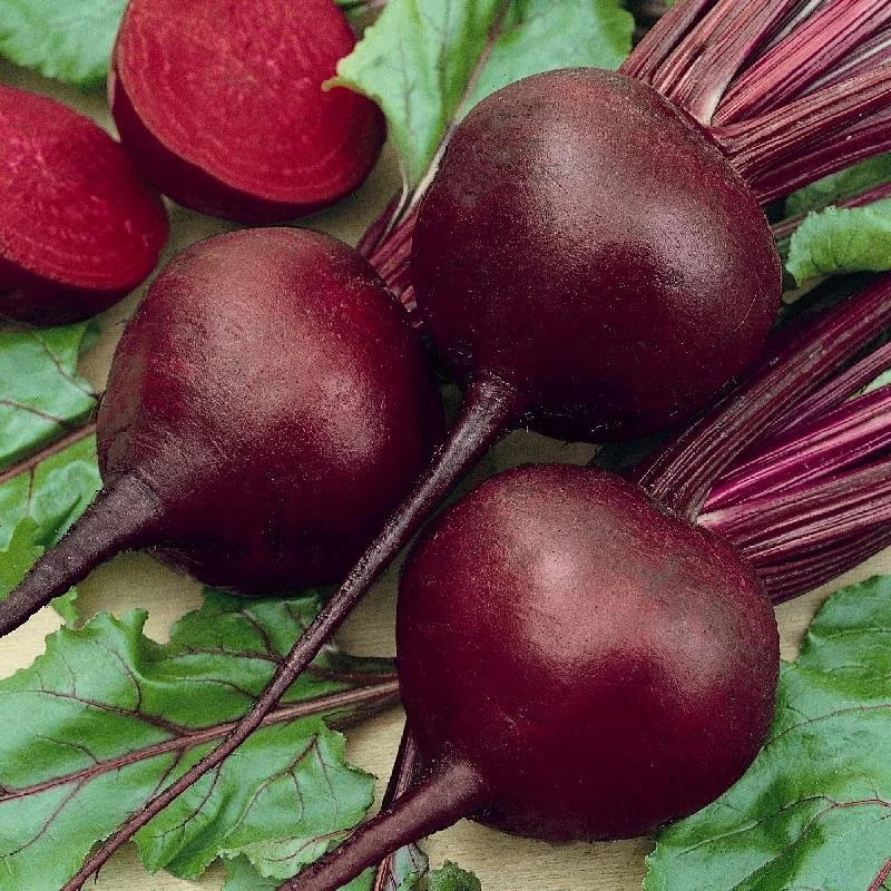 A-Detroit-Dark-Red-Beet-.jpg