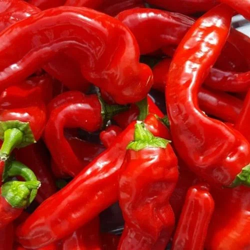 Tollis_Sweet_Italian_Chili.jpg