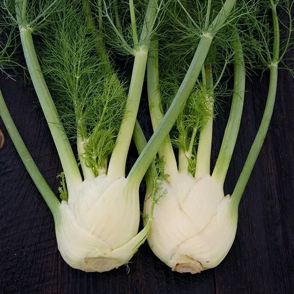 fennel-finale.jpg