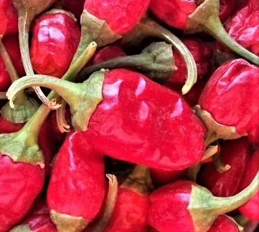 red+hinkelhatz+hot+pepper.jpg