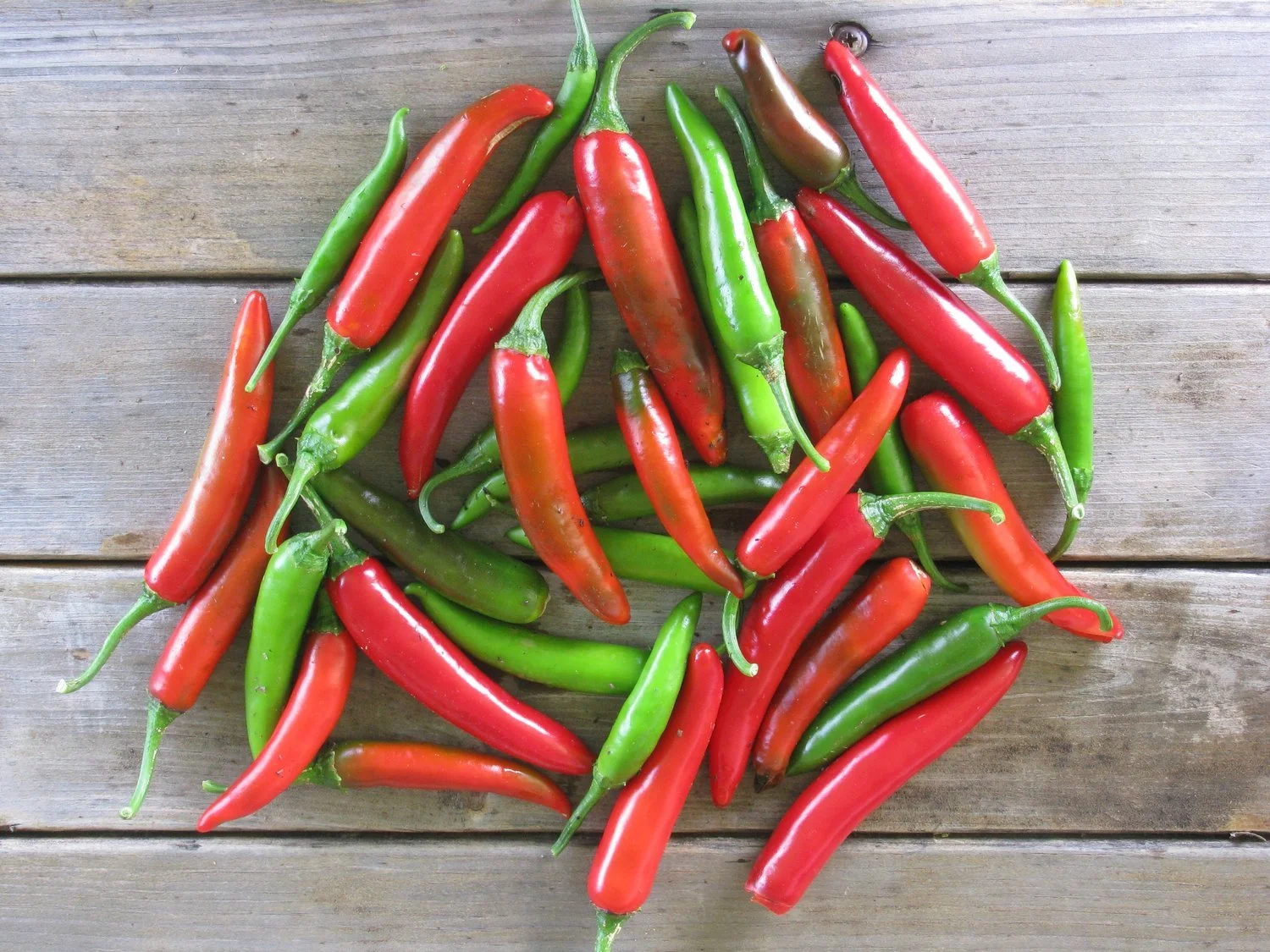 serrano+pepper.jpg