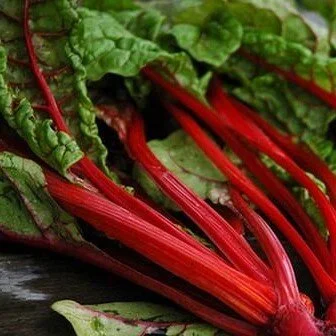 red+rhubarb+swiss+chard.jpg