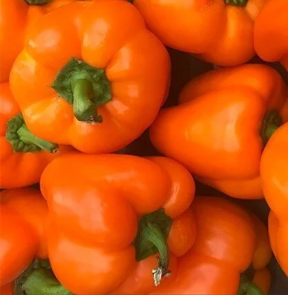 orange+bell+pepper.jpg