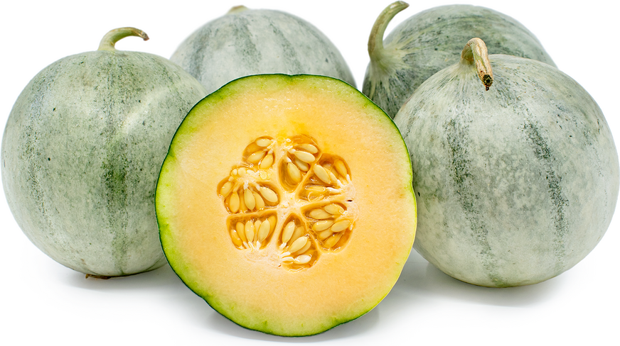 charentais melon11.png
