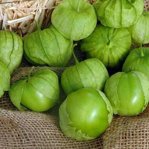 green husk tomatillo.jpg