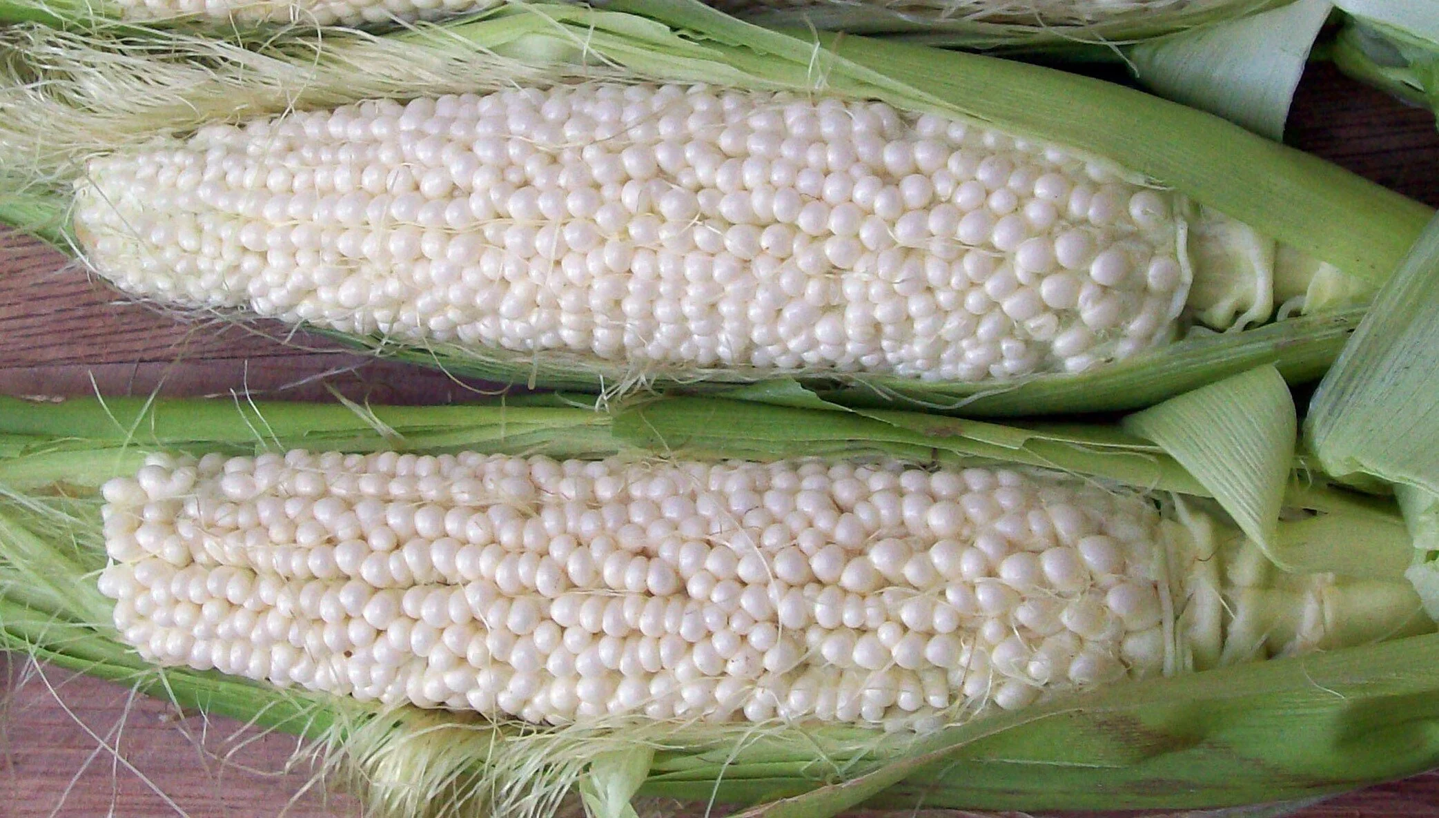 country+gentleman+sweet+corn.jpg