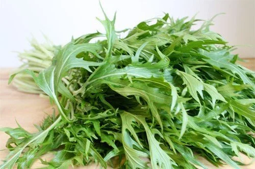 mizuna+organic+asian+greens.jpg