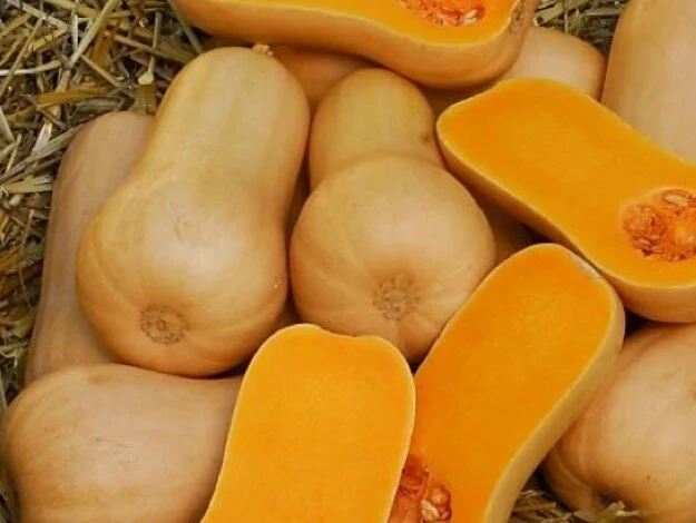 butternut+squash.jpg