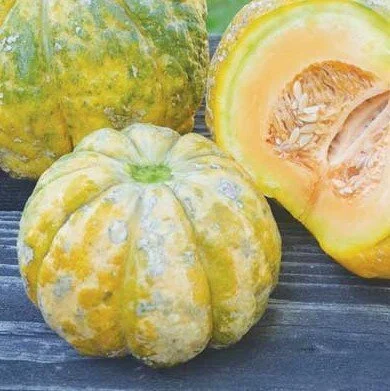 prescott+fond+blanc+melon.jpg