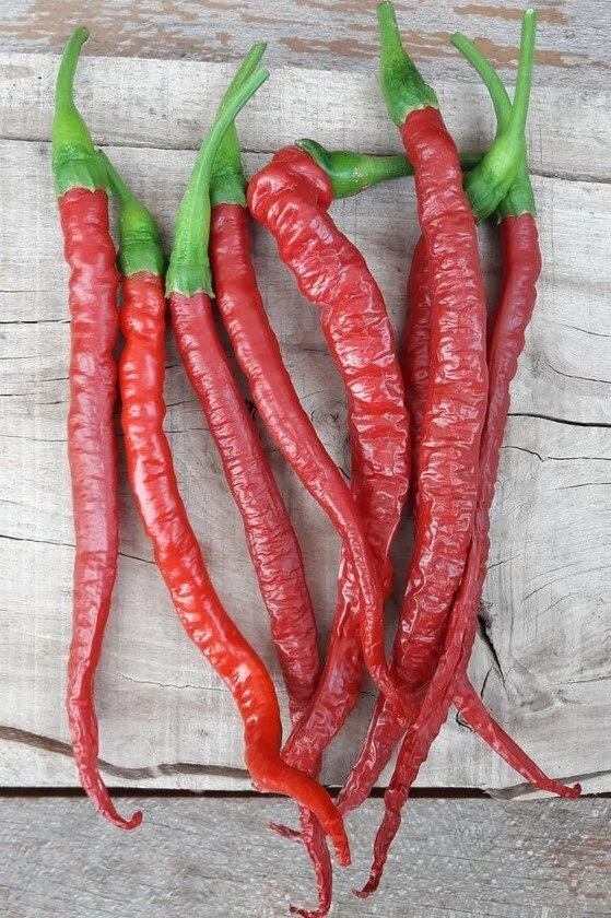 joe's+long+cayenne+pepper.jpg