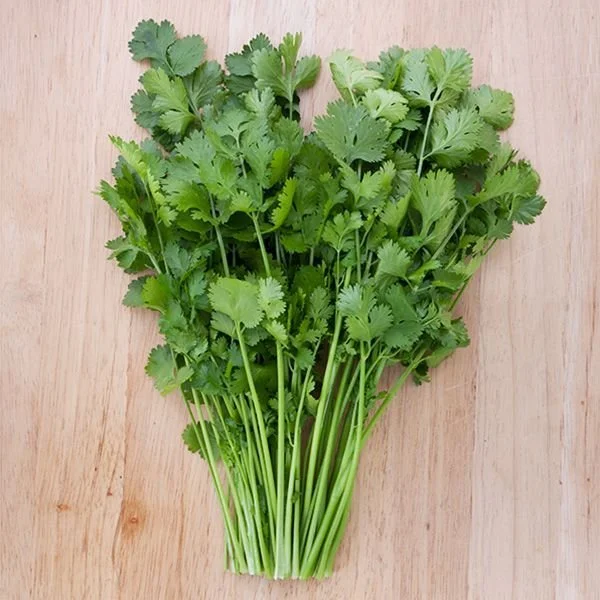 cilantro.jpg