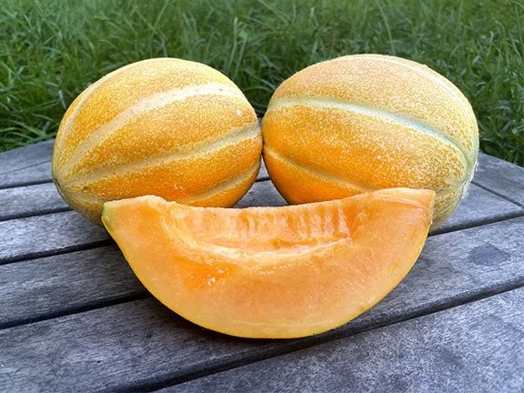 emerald_gem_melon.jpg