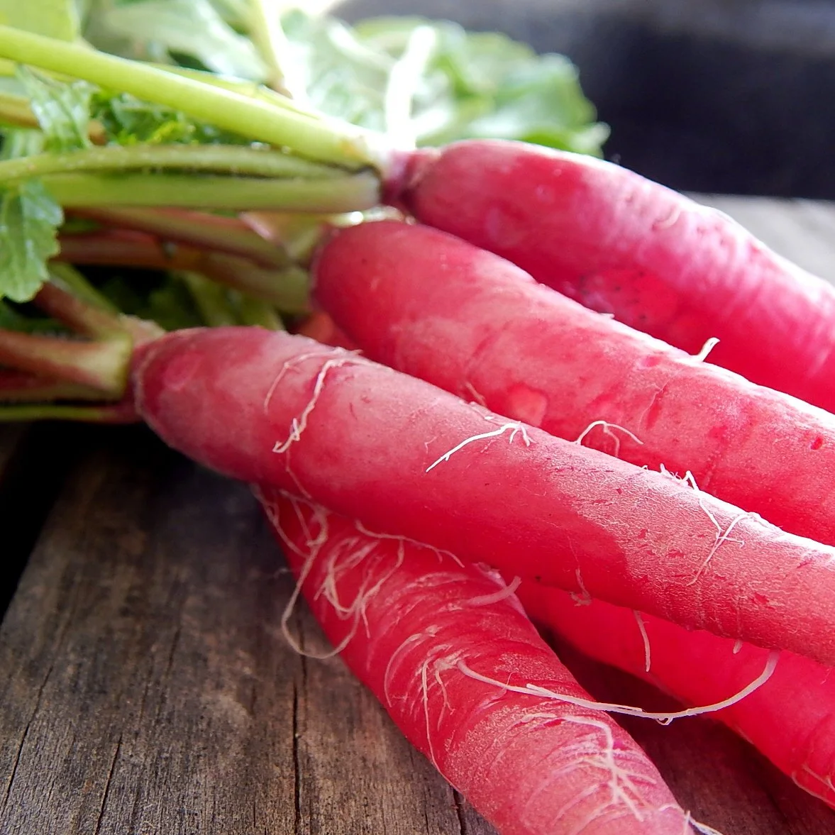 cincinnatti market radish.jpg