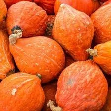 golden hubbard squash.jpg