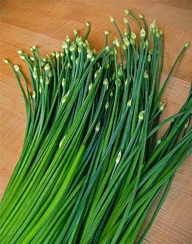 garlic_chives_01 (2).jpg