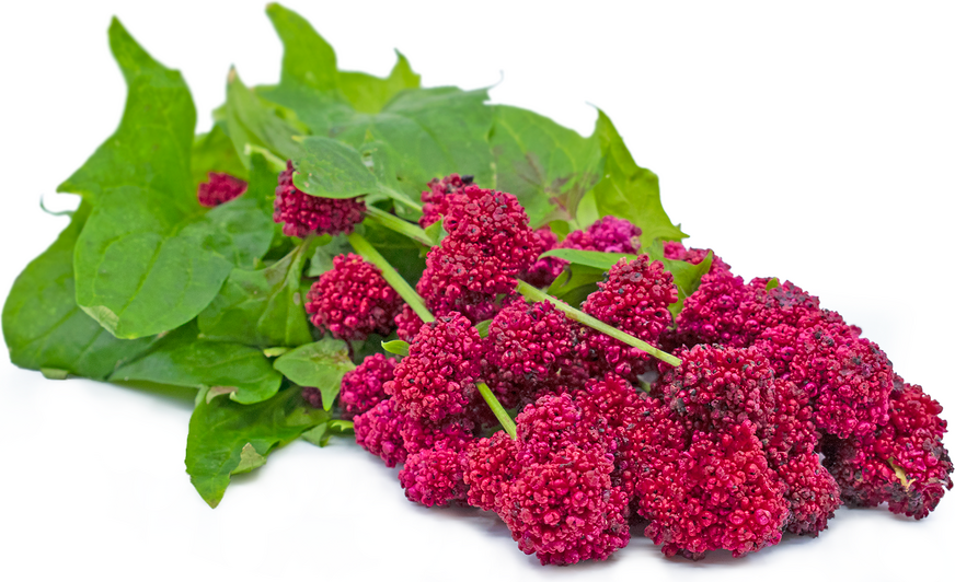 strawberry spinach.png