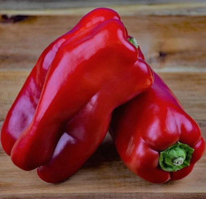 king+of+the+north+pepper.jpg