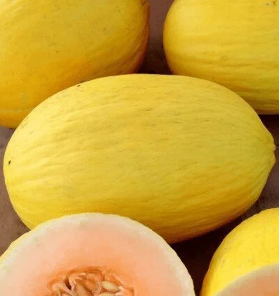 crenshaw+melon.jpg