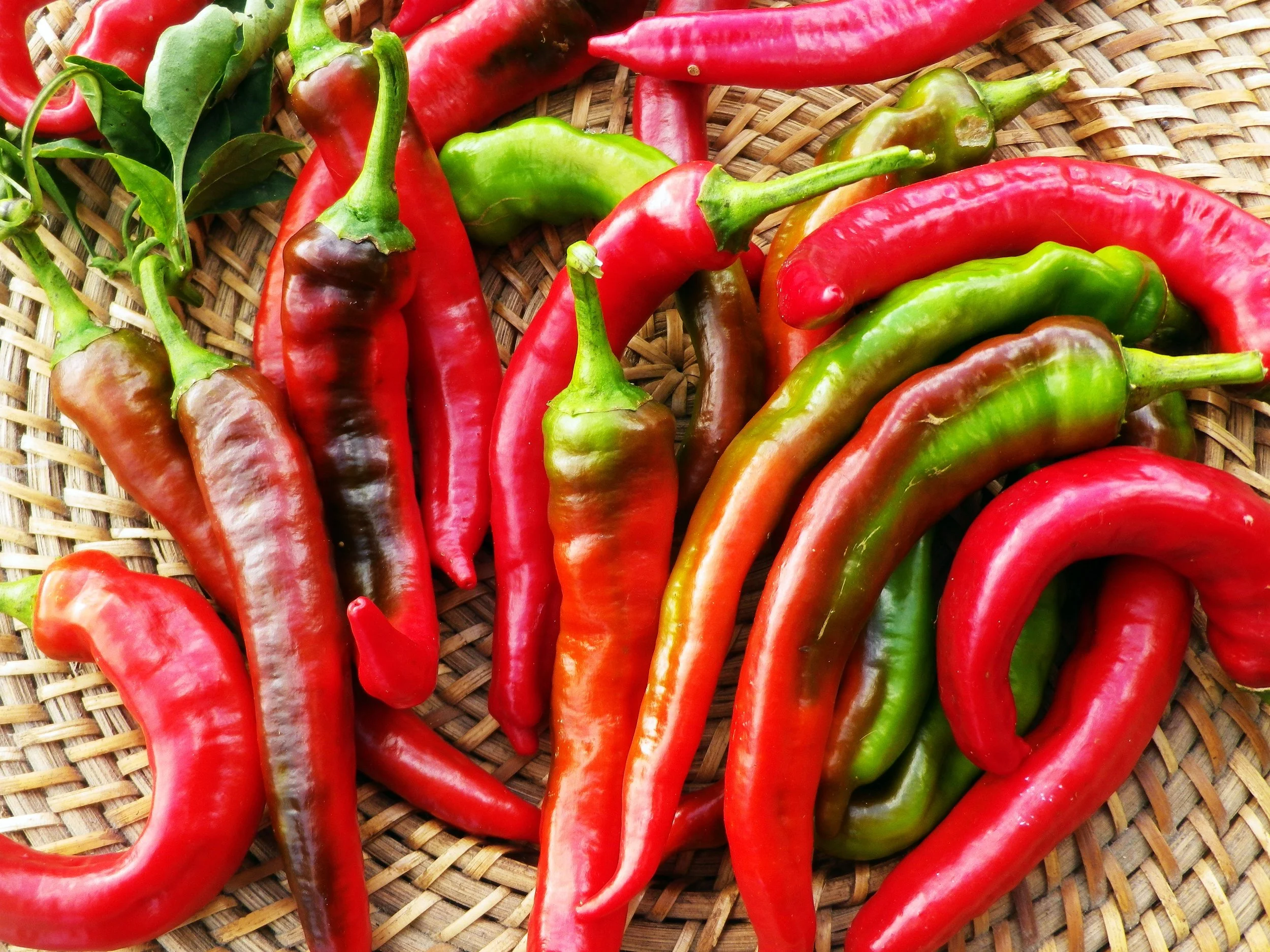 pepper-sweet-jimmy-nardello-.jpg