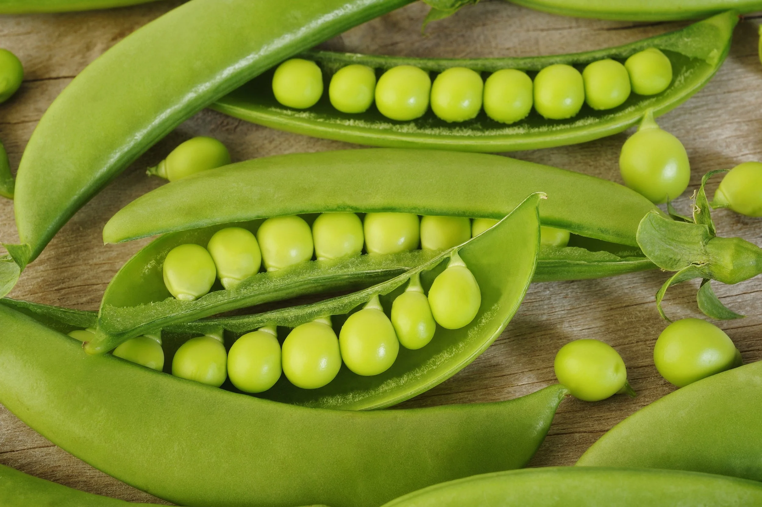 Amish+Snap+Pea.jpg