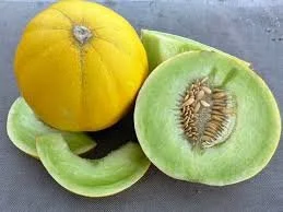 boule d'or melon.jpg