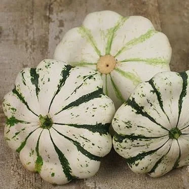 Patisson+Panache+Verte+et+Blanc+Squash.jpg