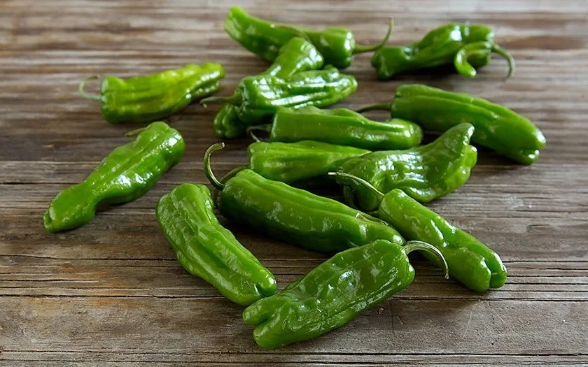 shishito pepper.jpg