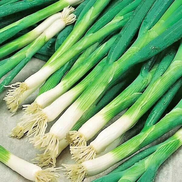 HESHIKOJAPANESEBUNCHINGONION.jpg