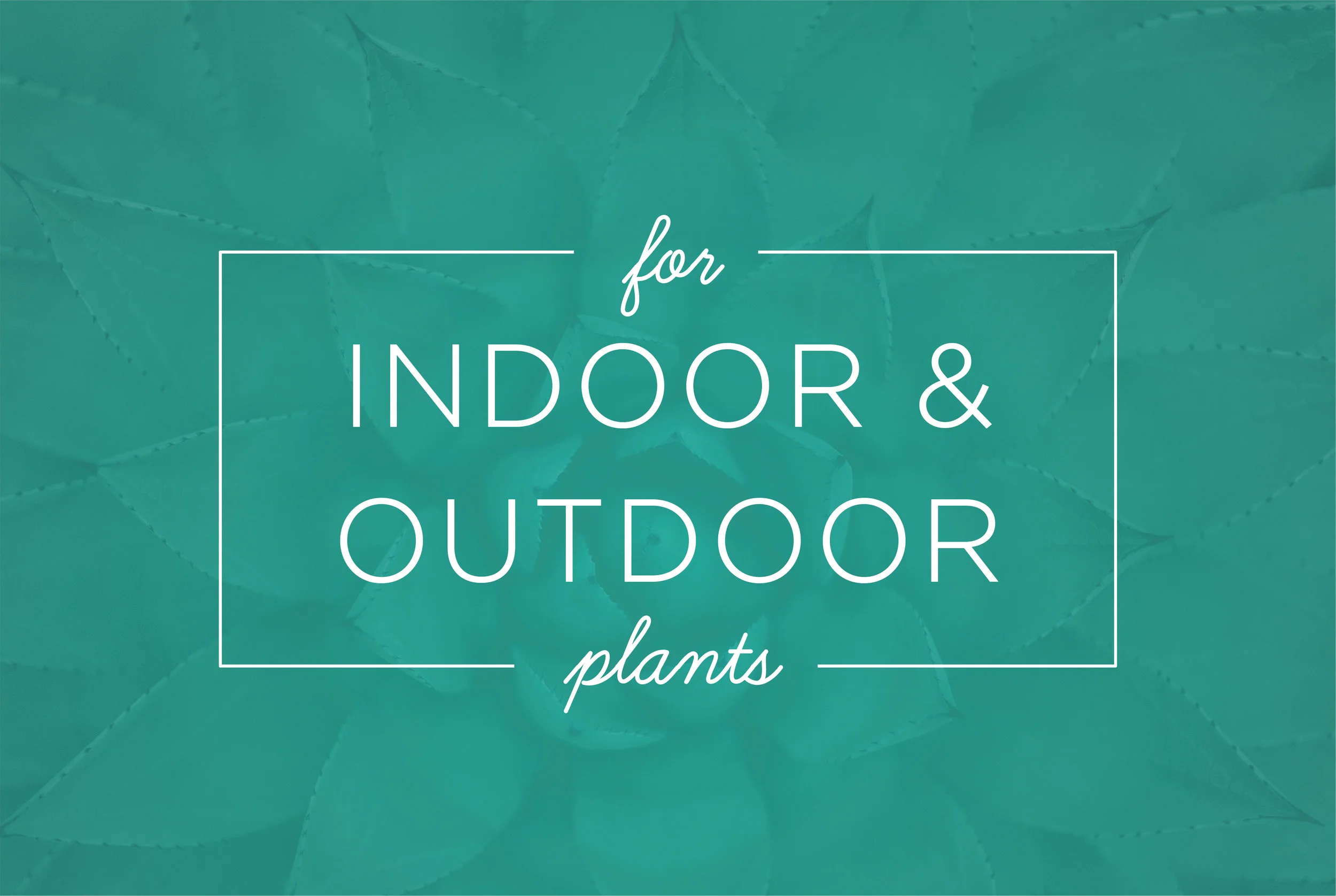 MTQ_Terragave_Web_Slideshow_Graphics_V1_IndoorOutdoor_BackgroundTeal.jpg