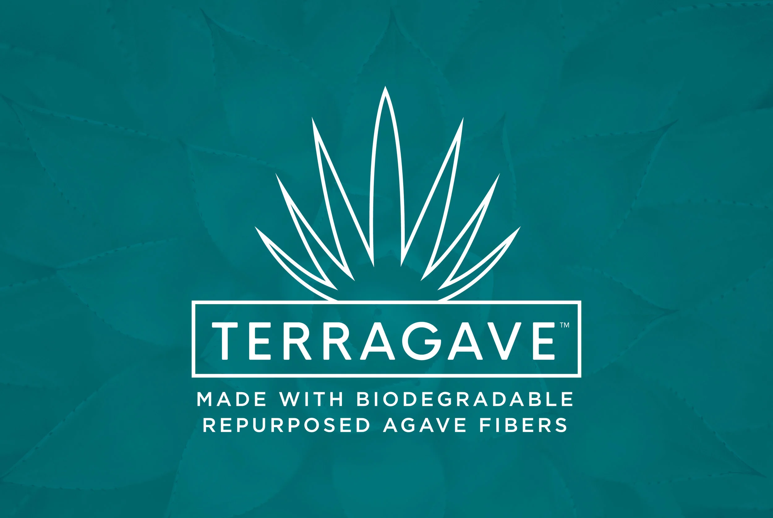 MTQ_Terragave_Web_Slideshow_Graphics_V1_Logo_BackgroundBlue_TM.jpg