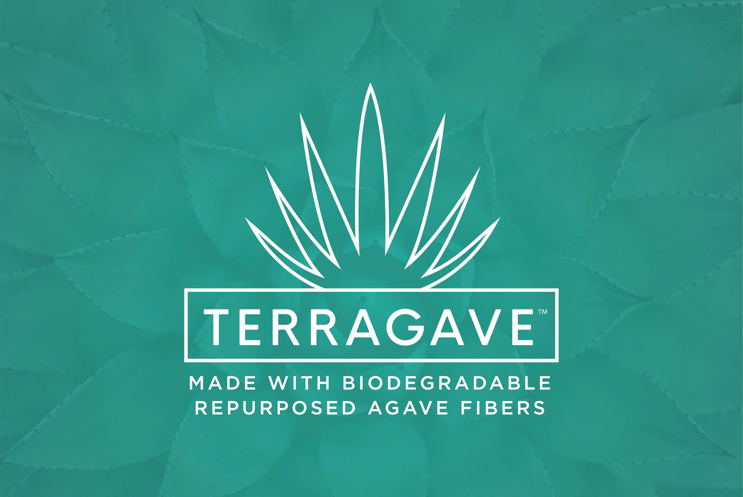 MTQ_Terragave_Web_Slideshow_Graphics_V1_Logo_BackgroundTeal_TM.jpg