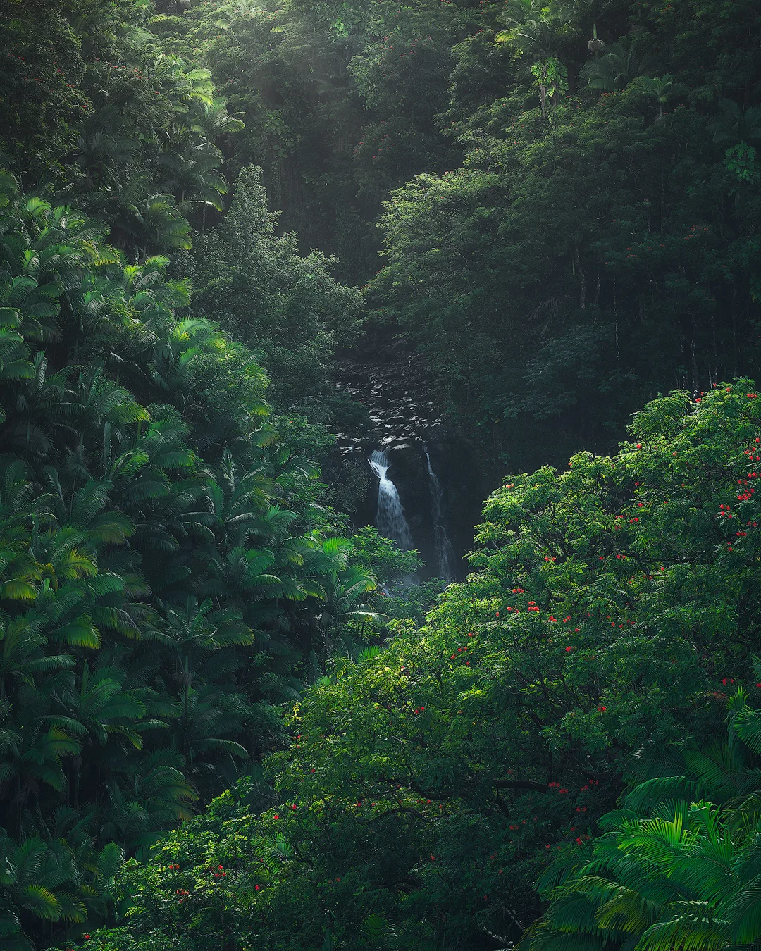 Hawaiian Secrets