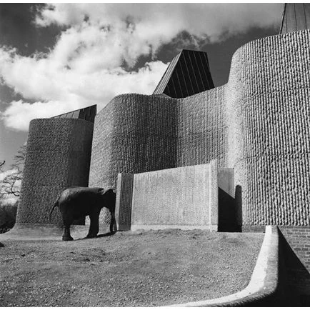 I found a lovely selection of architectural images of London zoo on the RIBA library this week. The penguin pool was designed by Lubetkin & Tecton in 1934 and the Elephant and Rhinoceros Brutalist house was designed by Casson Conder & Partners in 1965.